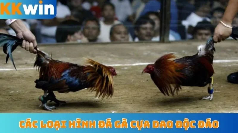 Các loại hình đá gà cựa dao độc đáo